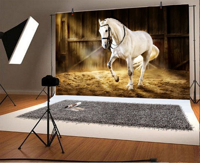 LFEEY 10x8ft Western Photography Backdrops Countryside West Cowboy Horse in The Stable Photo Background Photo Studio Props - Image 2